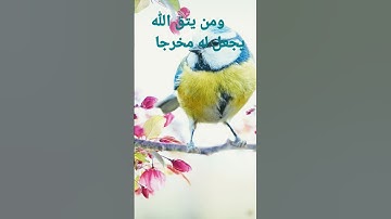 القرآن الكريم/سورة النجم القارئ الحاج عامر الكاظمي/اللهم صل وسلم على نبينا محمد/السلام عليكم