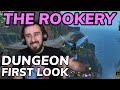 The rookery war within dungeon first look