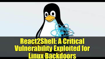 React2Shell: A Critical Vulnerability Exploited for Linux Backdoors