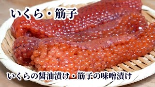 筋子からイクラを上手に取りほぐす方法！いくらの醤油漬け【いくら丼】と筋子の味噌漬けの作り方