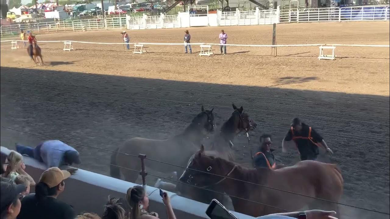 E.I.S.F. 2022 Sunday 9/4/22 Indian Relays (Heat 4) YouTube