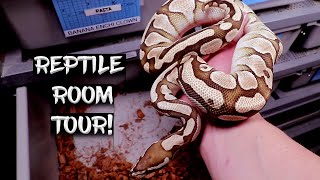 Reptile Room Tour! (June 2021)
