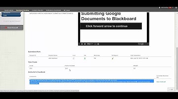 Checking Grades and Feedback in Blackboard