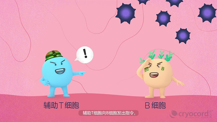 人體免疫細胞 - 天天要聞