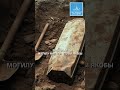 A Man Dug Up His Mother S Grave In The Leningrad Region Excavation Cemetery Criminal Police