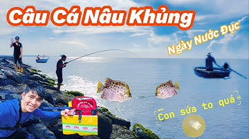 Câu Cá Nâu Khủng Ngày Nước Đục!​⁠@Longvlog86