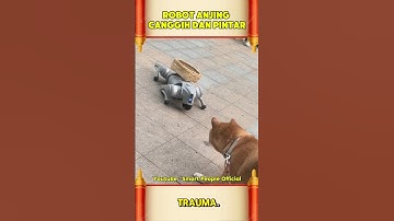 ROBOT ANJING CANGGIH DAN PINTAR 😱