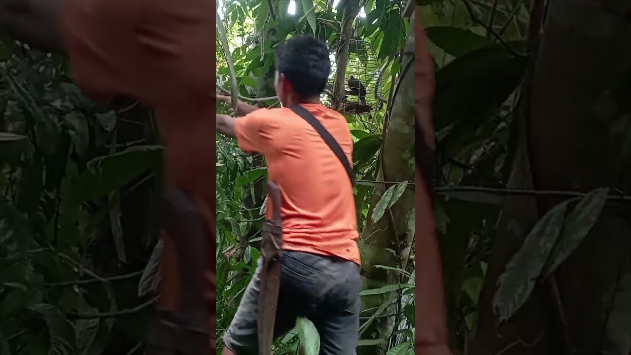 ginamitan ng pang malakasang kampay ni cafgu