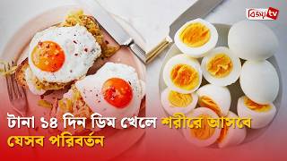 টন ১৪ দন ডম খল শরর আসব যসব পরবরতন Bijoy Tv