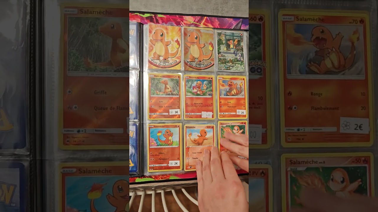 POV: la collection de Salamèche s'aggrandit 