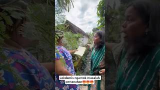 Lekdamis Jalok Gempor Tak Gempor Pagere