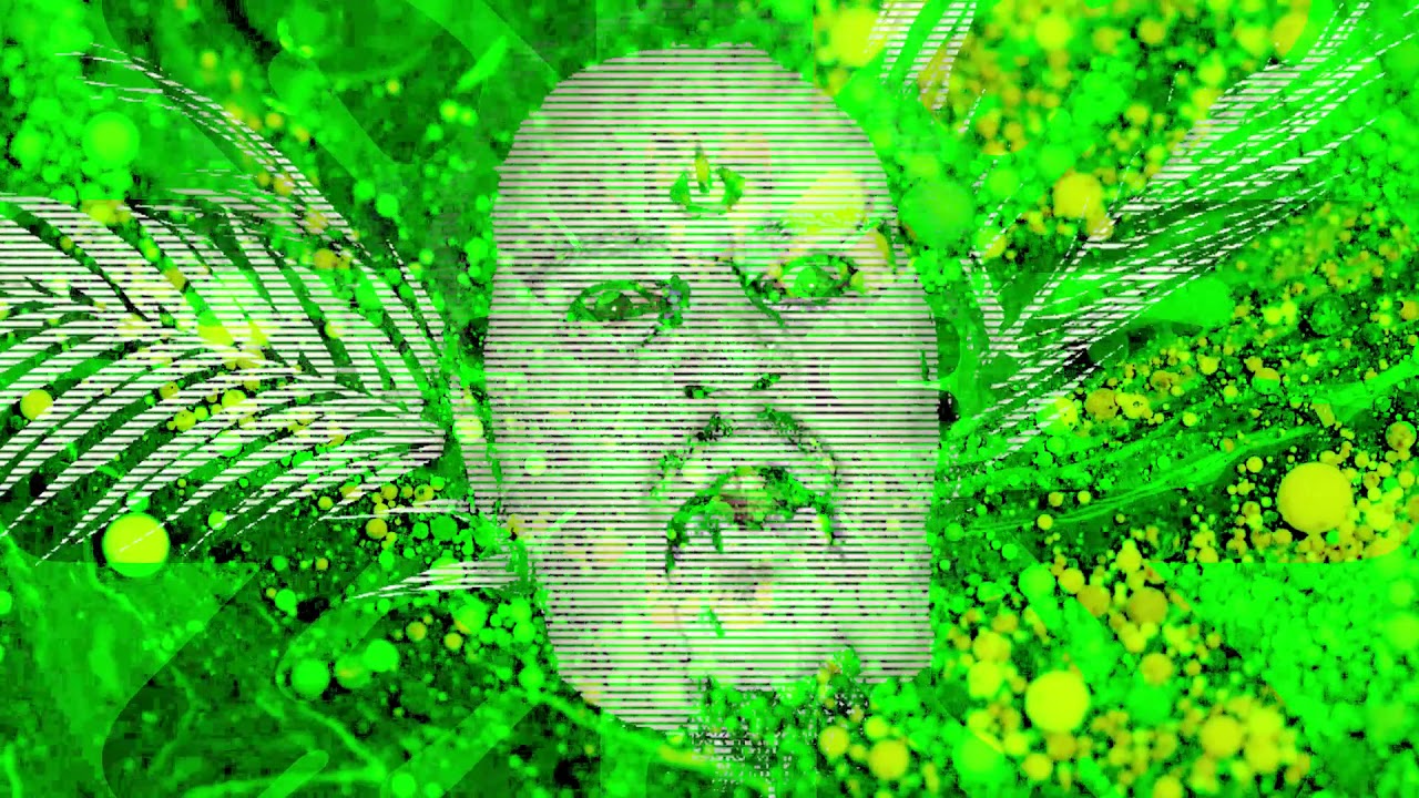 Gadè - The Web We Weave (Official Music Video)