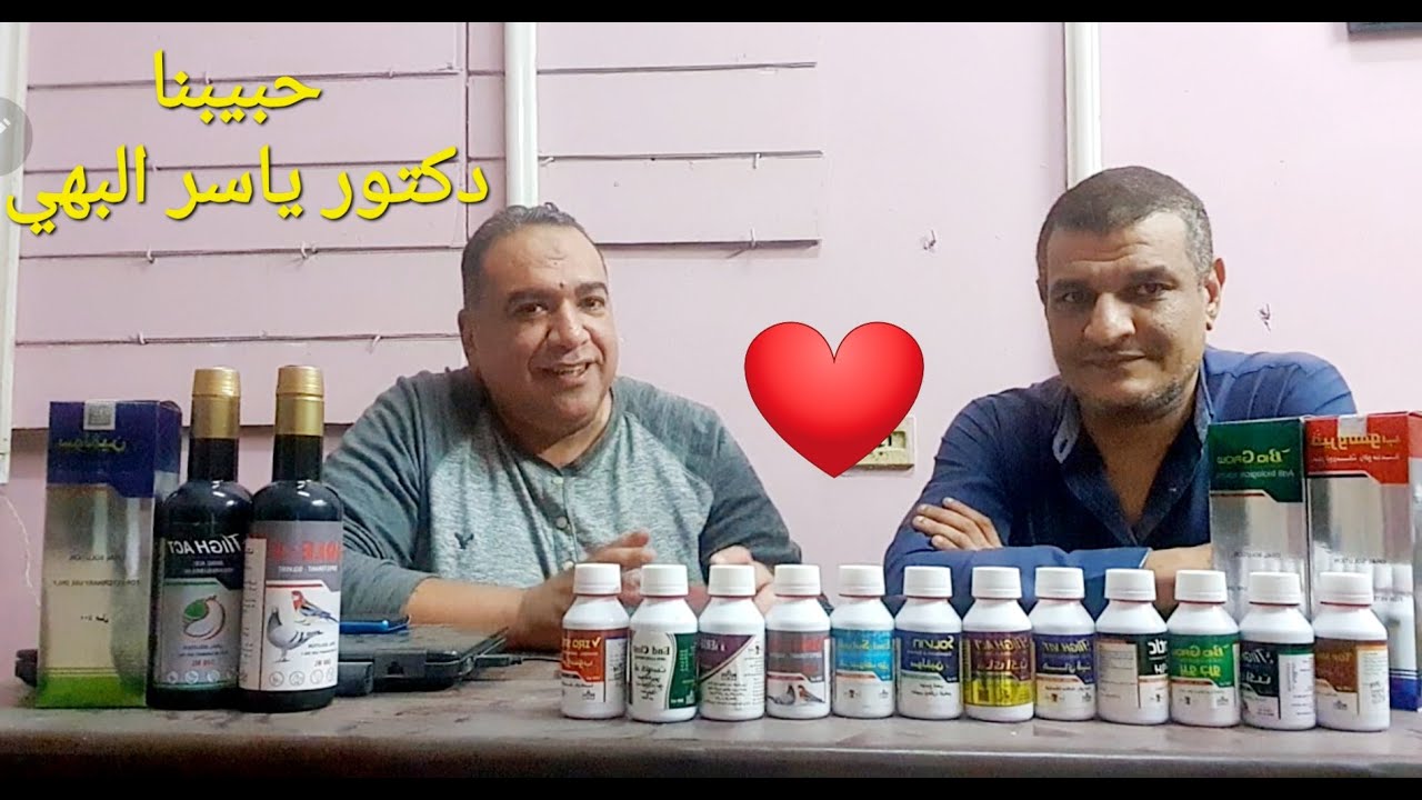 أيه اللى نعمله مع الحمام بعد العلاج 🧐ونحط له ايه فى المياه 👍لقاء السحاب 😍م أسامة حسين 🥰ود ياسر البهي