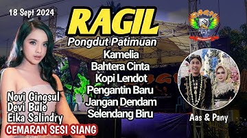 KAMELIA - JURAGAN EMPANG  - RAGIL PONGDUT