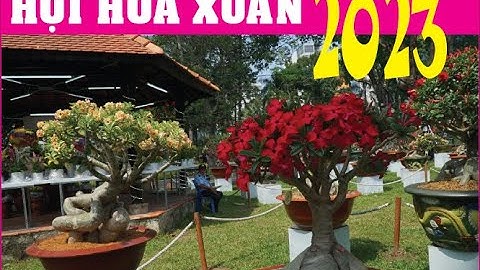 Hội Hoa Xuân Quý Mão 2023 tại Công viên Tao Đàn