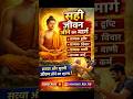 Gautama Buddha ने बताया सही जीवन जीने का मार्ग Buddha Wisdom #shorts #motivation #gautambuddha