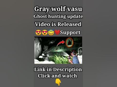 Gray wolf vasu ghost hunting video update | Ghost hunting | Tamil. #