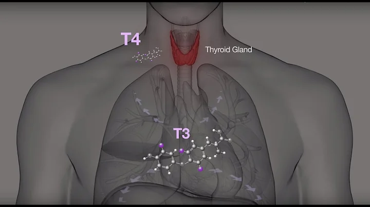 HYPOTHYROIDISM: T3 OR T4?