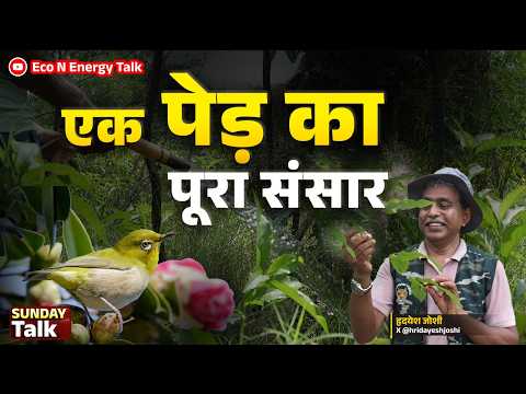 A Tree Is Never Alone: Understanding the Ecology Behind Plantation I Eco N Energy Talk