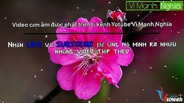 Cảm âm xuân này con không về tone C5 beat độc cực hay