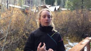 Young Innovators Award Sumbittal
