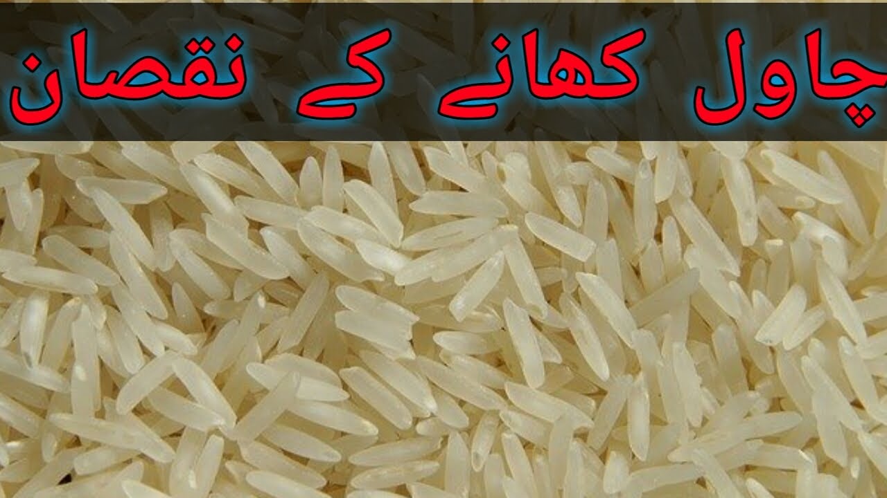 chawal ke nuksan/चावल के नुकसान/chawal khane ke nuksan/chawal or uske