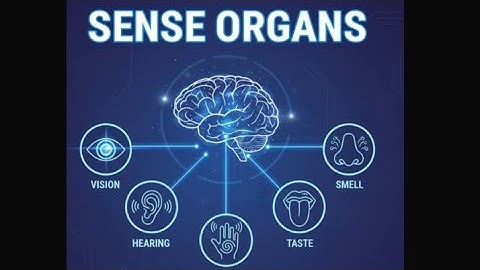 Chapter : 2 Lecture : 1 Sense Organ 