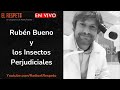 Rubén Bueno y los Insectos Perjudiciales