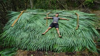 How To Building Wooden Cabin House in the wild, Complete palm leaf roof, Green Forest Farm Life ep4