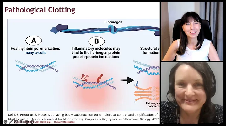 Vascular pathology in post-viral conditions: the r...