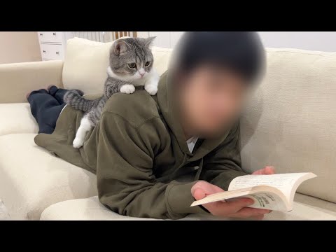 読書中の弟にかまってほしくて仕方ない猫がついにこうなっちゃいましたw