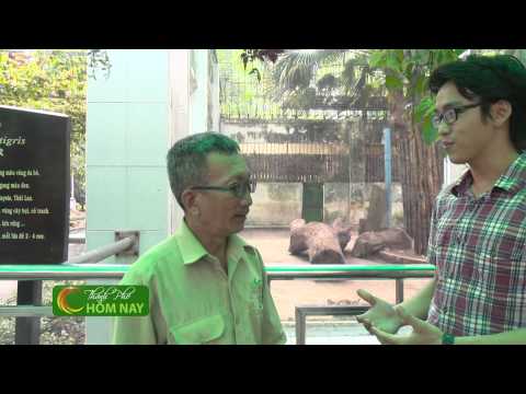 Nghề nuôi thú ở thảo cầm viên - Thành Phố Hôm Nay [HTV9 – 09.12.2014]