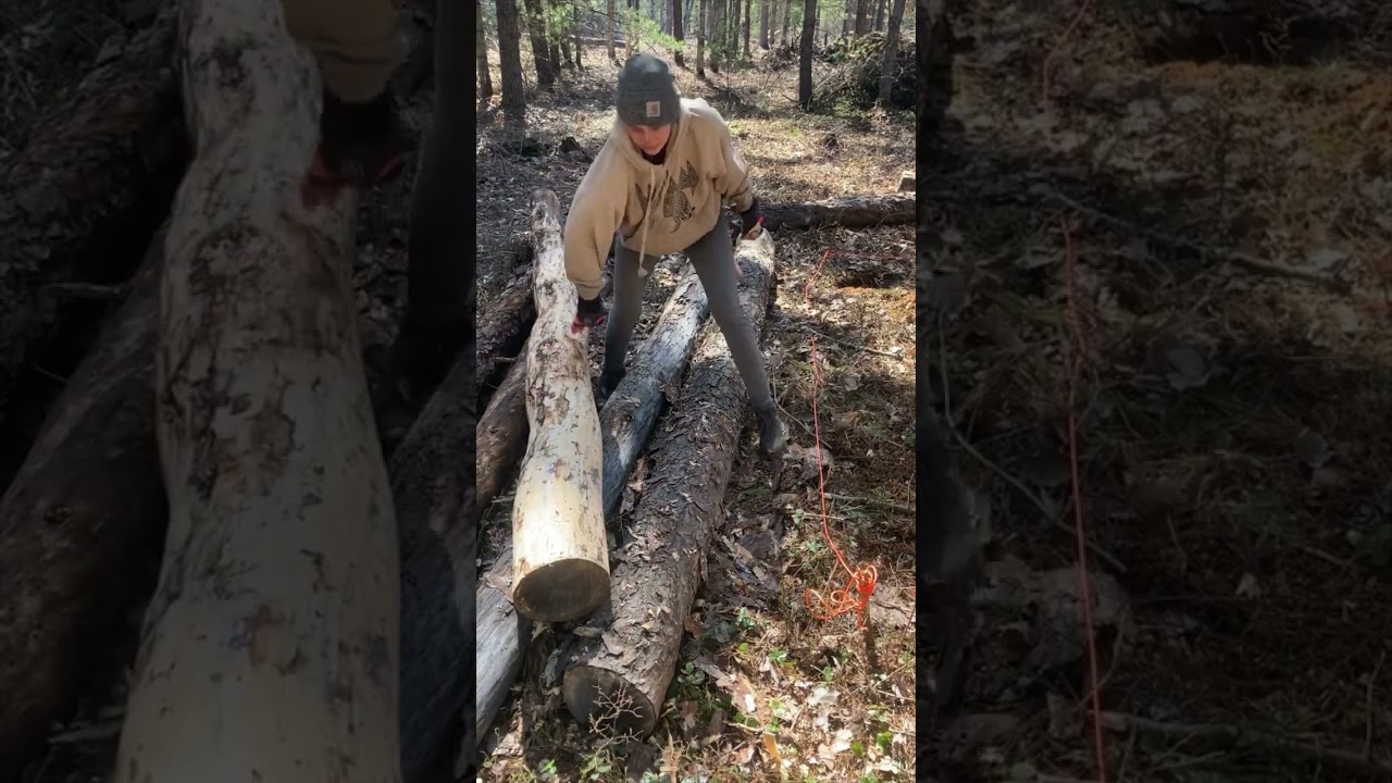 Don't Mess With My Spirit - Timber Platform Build