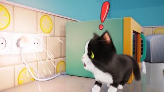 Kitten Match: PERFECT Time with Cute Kitties COMPILATION! by EaseHere - TOP Healing Stories and Soundscapes 29,897 views 2 years ago 31 seconds