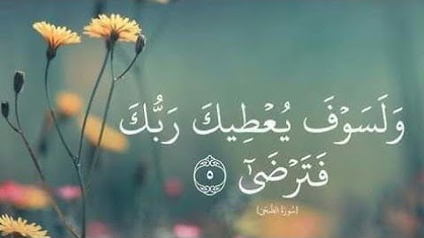 سورة الضحى تلاوة رائعه للشيخ محمود الشحات انور