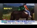 老翁&quot;騎牛上路&quot;路人傻眼! 外送員&quot;馬路騎馬&quot;送外賣?!│中視新聞 20240125