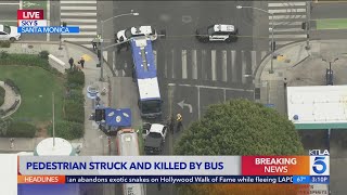Celebrity Pedestrian struck and killed by bus in Santa Monica Wealth
