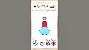 brain test level 312