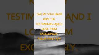 Bible  Psalm 119167  Gods Word  Bible Stories shorts