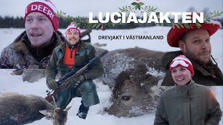 LUCIAJAKTEN på Målhammar Gård. Årets roligaste DREVJAKT!