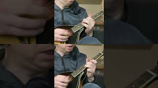 Mysterious Arpeggios mandolin