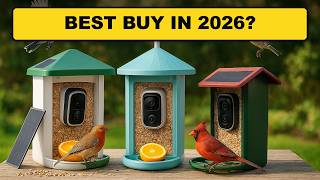 Top 5 Best Smart Bird Feeders 2026 - Easier Birdwatching