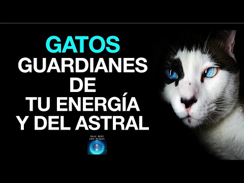 Video: ¿Eran los gatos guardianes del inframundo?