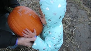 Pumpkin Mud boggin At Black Island Farms