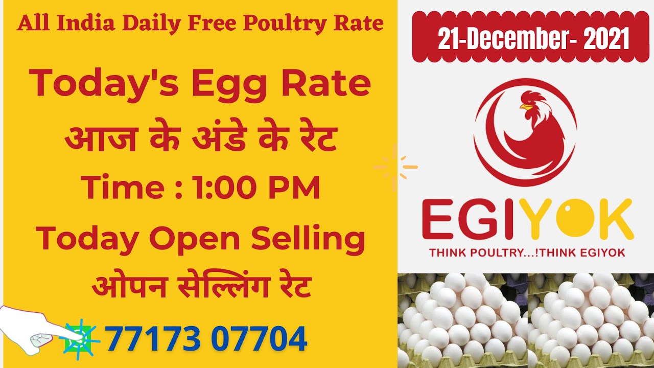 Today's Egg Rate & Current Selling Rate | Ande ka Rate 22-12-2021|