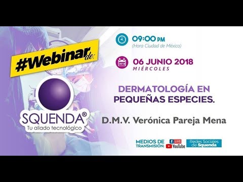 Video: 5 señales de que puede ser el momento de ver a un dermatólogo veterinario