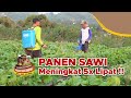 Penanganan lahan tumpangsari supaya hasil tetap melimpah