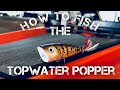 How to Fish a Topwater Popper - Bass Fishing