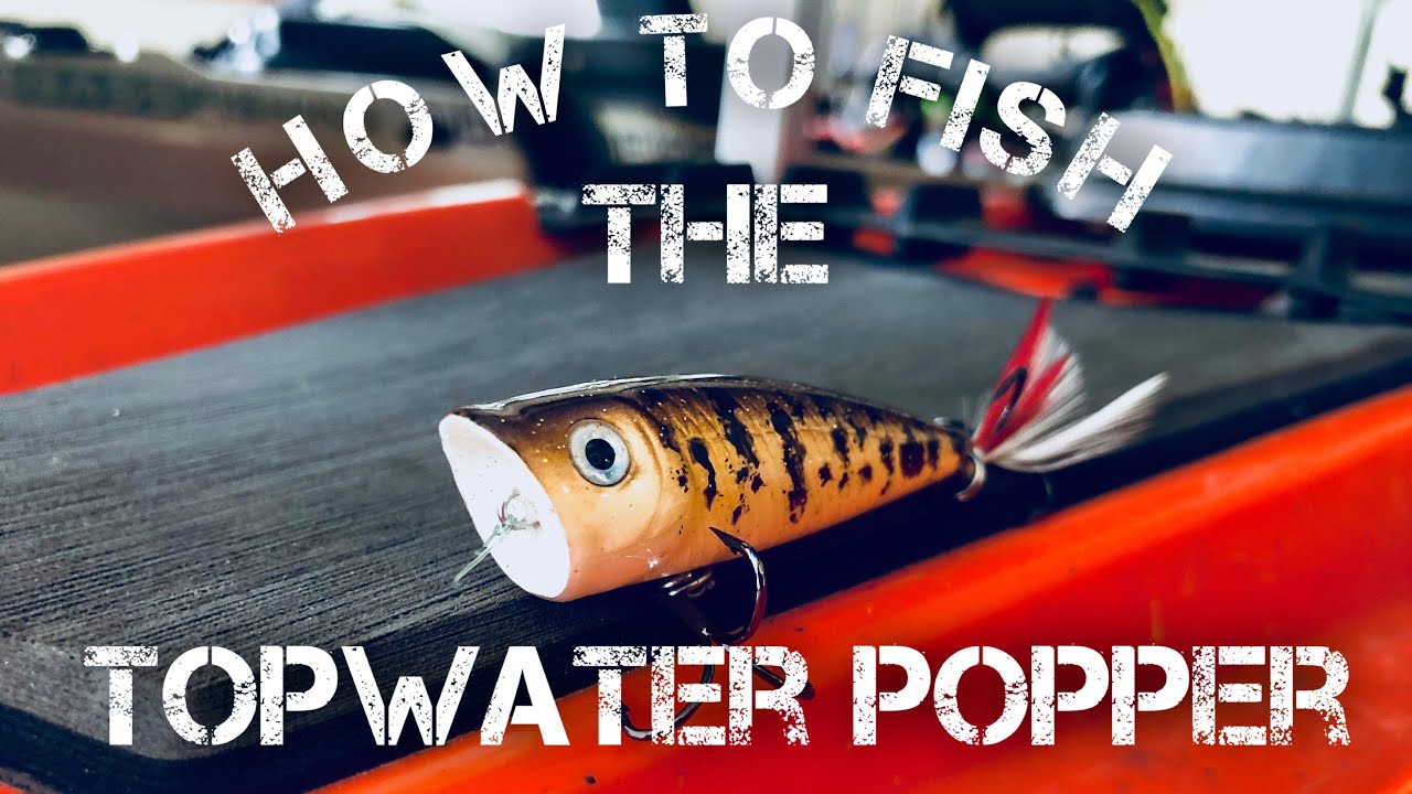 How to Fish a Topwater Popper - Bass Fishing 