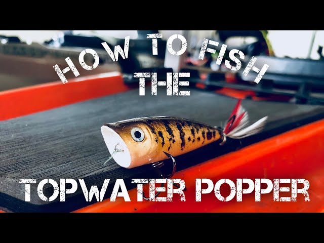 How to Fish a Topwater Popper - Bass Fishing 